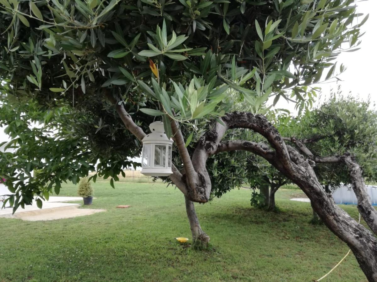 Relais Il Giardino Fra Gli Ulivi Villa Torino di Sangro Exterior photo